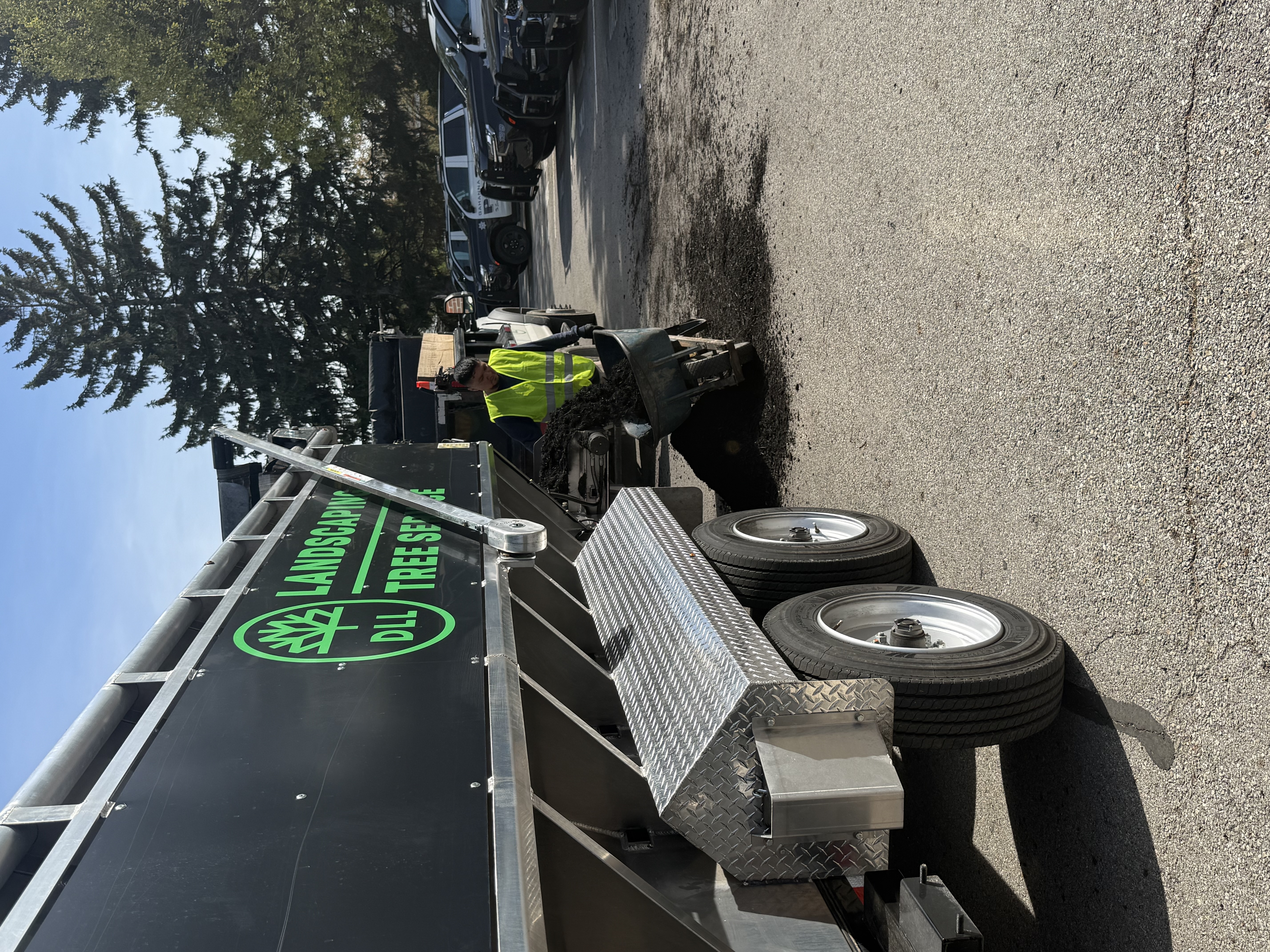 Weed Removal